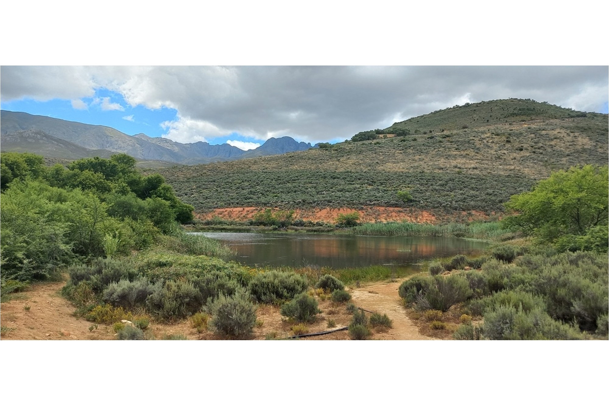 1 Bedroom Property for Sale in Uniondale Rural Western Cape